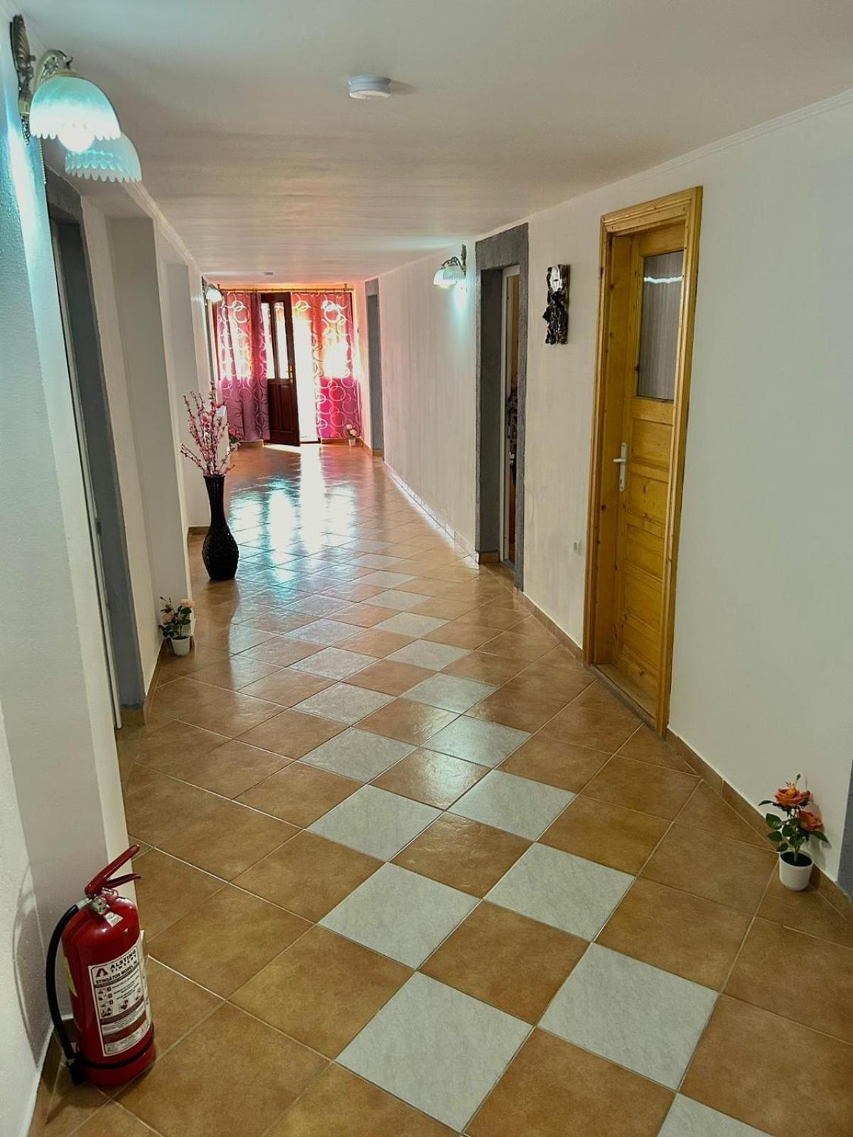 Pensiunea Casa Nina Cartisoara Exterior photo